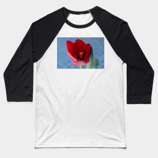 9216 red tulip Baseball T-Shirt